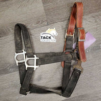 Stiff Nylon Halter, Thick Soft Leather Crown, spring snap *fair, dirty, edge rubs & snags, bent snap, rust, faded, like new crown