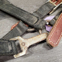 Stiff Nylon Halter, Thick Soft Leather Crown, spring snap *fair, dirty, edge rubs & snags, bent snap, rust, faded, like new crown