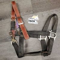 Stiff Nylon Halter, Thick Soft Leather Crown, spring snap *fair, dirty, edge rubs & snags, bent snap, rust, faded, like new crown
