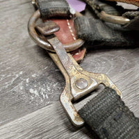 Stiff Nylon Halter, Thick Soft Leather Crown, spring snap *fair, dirty, edge rubs & snags, bent snap, rust, faded, like new crown

