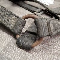 Stiff Nylon Halter, Thick Soft Leather Crown, spring snap *fair, dirty, edge rubs & snags, bent snap, rust, faded, like new crown