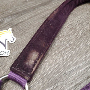 Nylon Halter, Velvet Padding, adj, snap *vgc, mnr hair, frayed holes, dirt?stains & velvet rubs