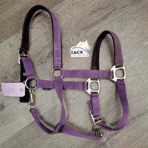 Nylon Halter, Velvet Padding, adj, snap *vgc, mnr hair, frayed holes, dirt?stains & velvet rubs