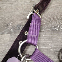 Nylon Halter, Velvet Padding, adj, snap *vgc, mnr hair, frayed holes, dirt?stains & velvet rubs
