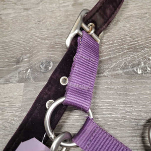 Nylon Halter, Velvet Padding, adj, snap *vgc, mnr hair, frayed holes, dirt?stains & velvet rubs