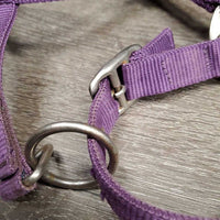 Nylon Halter, Velvet Padding, adj, snap *vgc, mnr hair, frayed holes, dirt?stains & velvet rubs
