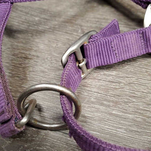 Nylon Halter, Velvet Padding, adj, snap *vgc, mnr hair, frayed holes, dirt?stains & velvet rubs