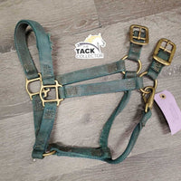 Nylon Halter, snap *fair, torn, faded, stains, NO Crown
