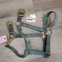 Nylon Halter, snap *fair, torn, faded, stains, NO Crown
