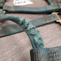 Nylon Halter, snap *fair, torn, faded, stains, NO Crown
