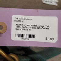 Nylon Halter, snap *fair, torn, faded, stains, NO Crown
