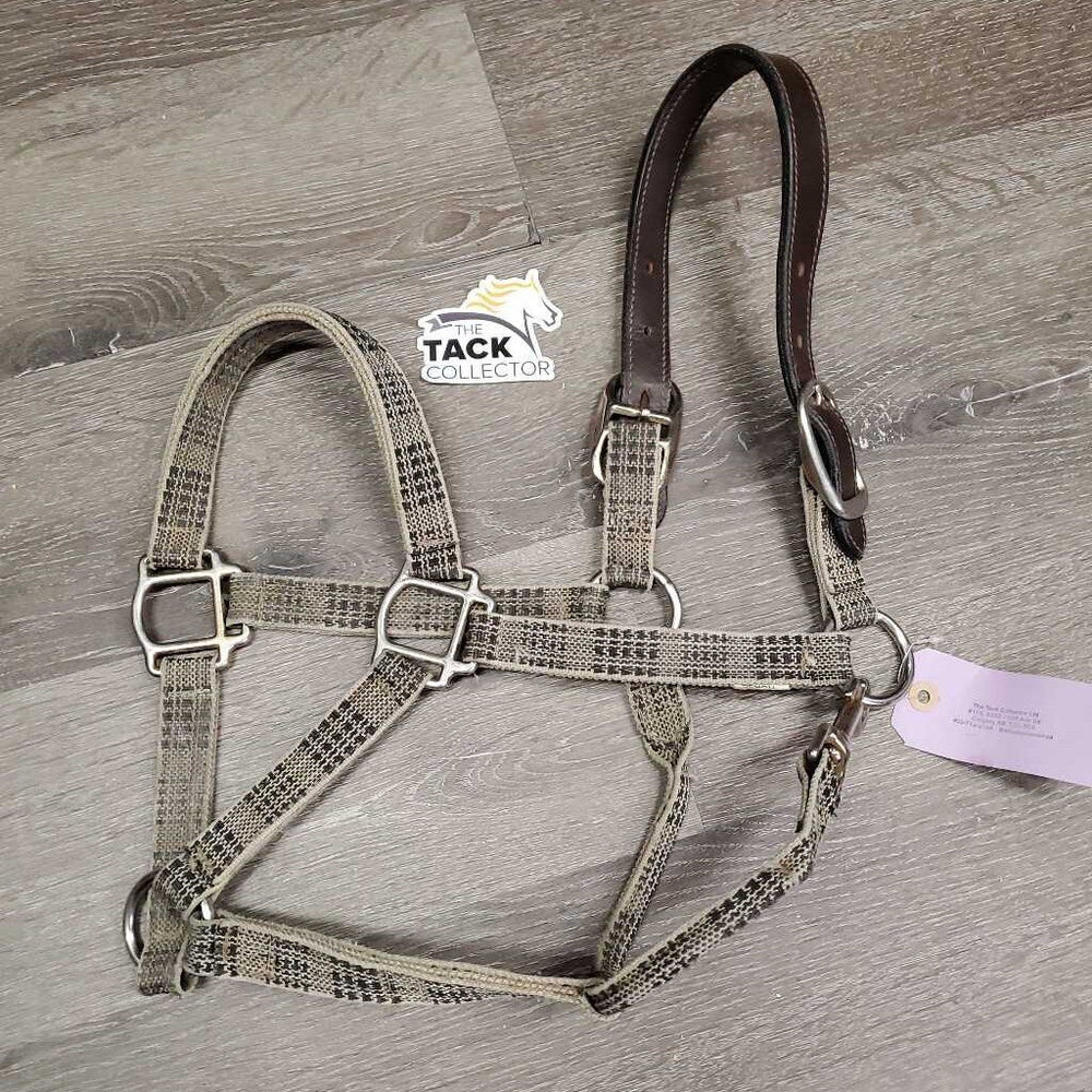 Nylon Breakaway Halter, Leather Crown *gc, dirty, faded, stains