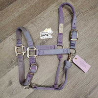 Thick Nylon Halter, adj, snap *gc/fair, v.faded, discolored & stained, frays, rubs