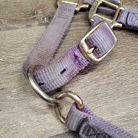 Thick Nylon Halter, adj, snap *gc/fair, v.faded, discolored & stained, frays, rubs
