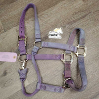 Thick Nylon Halter, adj, snap *gc/fair, v.faded, discolored & stained, frays, rubs
