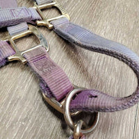 Thick Nylon Halter, adj, snap *gc/fair, v.faded, discolored & stained, frays, rubs
