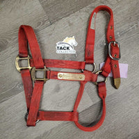 v.thick Soft Nylon Halter "Champ Nameplate" *gc, stains, clean, rubs, frays, older, faded
