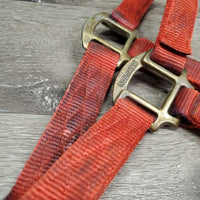 v.thick Soft Nylon Halter "Champ Nameplate" *gc, stains, clean, rubs, frays, older, faded
