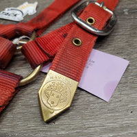 v.thick Soft Nylon Halter "Champ Nameplate" *gc, stains, clean, rubs, frays, older, faded
