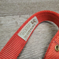 v.thick Soft Nylon Halter "Champ Nameplate" *gc, stains, clean, rubs, frays, older, faded