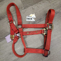 v.thick Soft Nylon Halter "Champ Nameplate" *gc, stains, clean, rubs, frays, older, faded