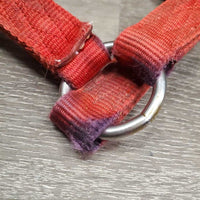 v.thick Soft Nylon Halter "Champ Nameplate" *gc, stains, clean, rubs, frays, older, faded