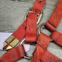 v.thick Soft Nylon Halter "Champ Nameplate" *gc, stains, clean, rubs, frays, older, faded
