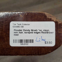Dandy Brush *xc, clean, mnr hair, scraped edges
