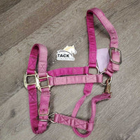 Thick Nylon Halter, snap, adj *gc/fair, v.faded, rubs, stains, frays, older, stiff
