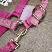 Thick Nylon Halter, snap, adj *gc/fair, v.faded, rubs, stains, frays, older, stiff
