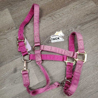 Thick Nylon Halter, snap, adj *gc/fair, v.faded, rubs, stains, frays, older, stiff
