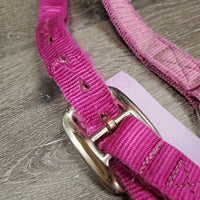 Thick Nylon Halter, snap, adj *gc/fair, v.faded, rubs, stains, frays, older, stiff
