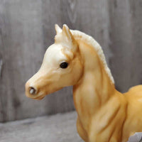Vintage #6 Family Arabian Foal *gc, rubs, scuffs, stains, faded hooves