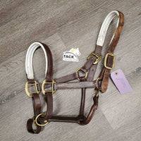Padded Leather Halter, adj, snap *gc/fair, chewed, clean, faded, rubs, peeled edge
