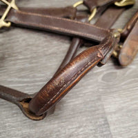 Padded Leather Halter, adj, snap *gc/fair, chewed, clean, faded, rubs, peeled edge
