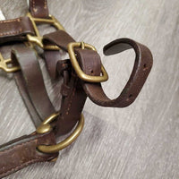 Padded Leather Halter, adj, snap *gc/fair, chewed, clean, faded, rubs, peeled edge
