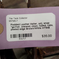 Padded Leather Halter, adj, snap *gc/fair, chewed, clean, faded, rubs, peeled edge
