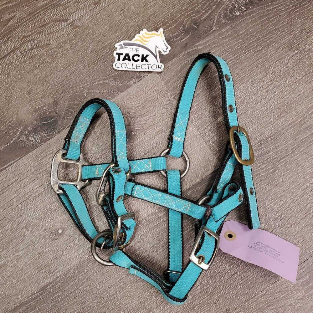 Adj Nylon Halter, 2x adj *vgc, clean, oxidization, edge frays, mnr stains, stiff?