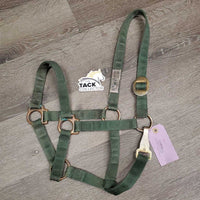 Nylon Halter, Spring Snap *fair, older, rust, dirt, stains, rubs, squished snap, faded