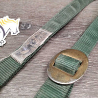 Nylon Halter, Spring Snap *fair, older, rust, dirt, stains, rubs, squished snap, faded
