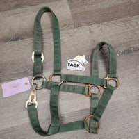 Nylon Halter, Spring Snap *fair, older, rust, dirt, stains, rubs, squished snap, faded
