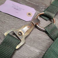 Nylon Halter, Spring Snap *fair, older, rust, dirt, stains, rubs, squished snap, faded