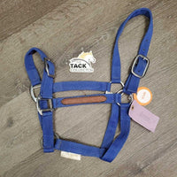Nylon & Leather Accents Halter, adjustable noseband *gc, clean, mnr stains & rubs
