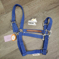 Nylon & Leather Accents Halter, adjustable noseband *gc, clean, mnr stains & rubs