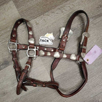 Soft Scalloped Leather Show Halter, silver buckles & conchos *vgc/xc, dusty, missing Rivet, mnr stains & scrapes
