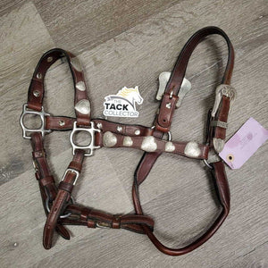 Soft Scalloped Leather Show Halter, silver buckles & conchos *vgc/xc, dusty, missing Rivet, mnr stains & scrapes