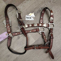 Soft Scalloped Leather Show Halter, silver buckles & conchos *vgc/xc, dusty, missing Rivet, mnr stains & scrapes
