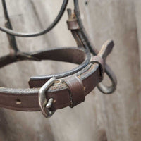 Rsd Leather Bridle, Braided Reins *vgc, v.stiff, clean, edges scrapes
