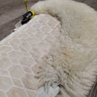 Sheepskin Half Pad *fair, clean, large bare spots, stains, clumpy, dingy, pills, mnr puckers, threads
