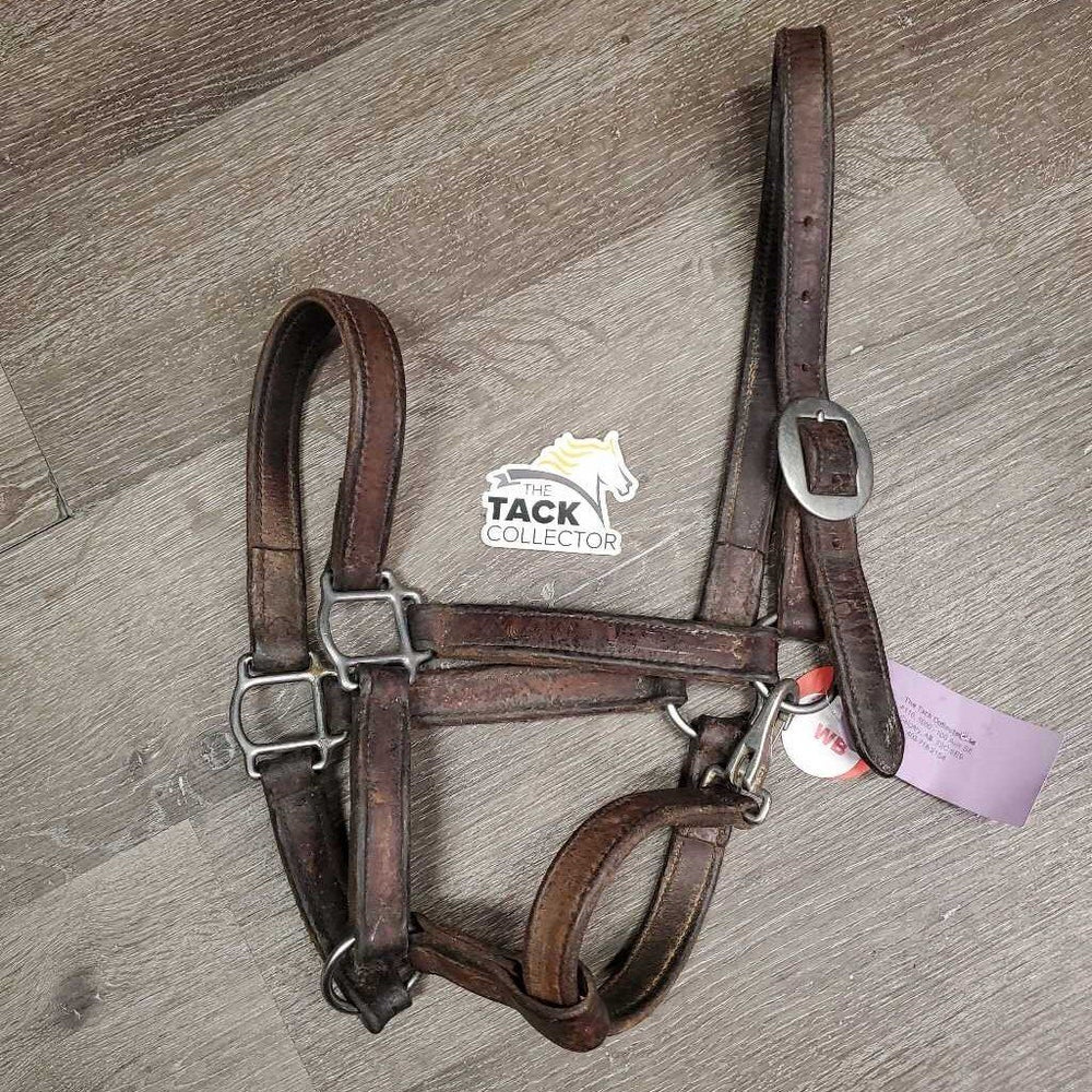 Thick Leather Halter, snap *gc/fair, stiff, scraped edges, dry, stains, older, residue